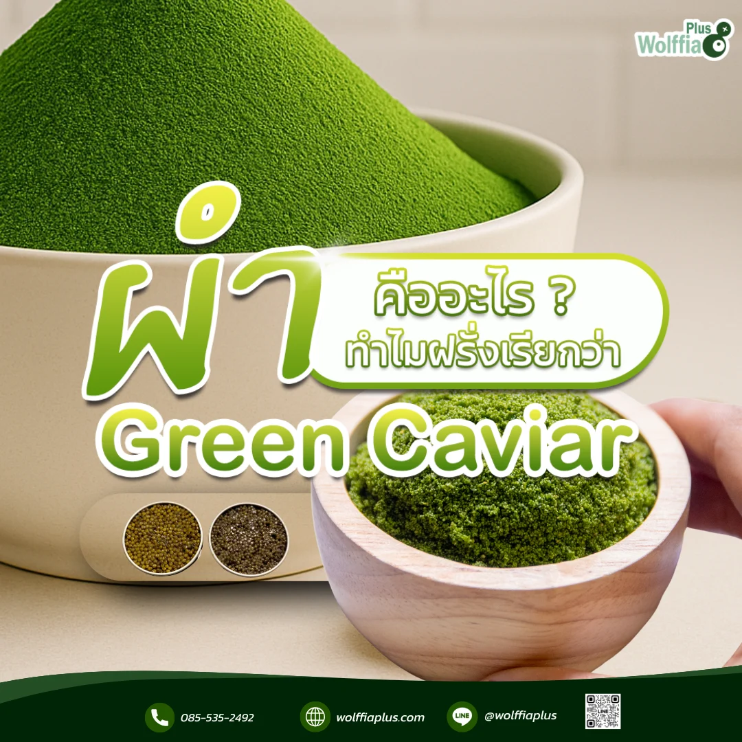 Green Caviar