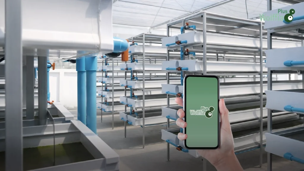 ฟาร์มแนวตั้ง