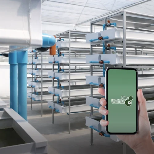 ฟาร์มแนวตั้ง