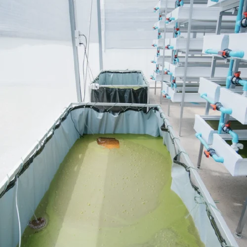 ระบบควบคุมพืชน้ำ