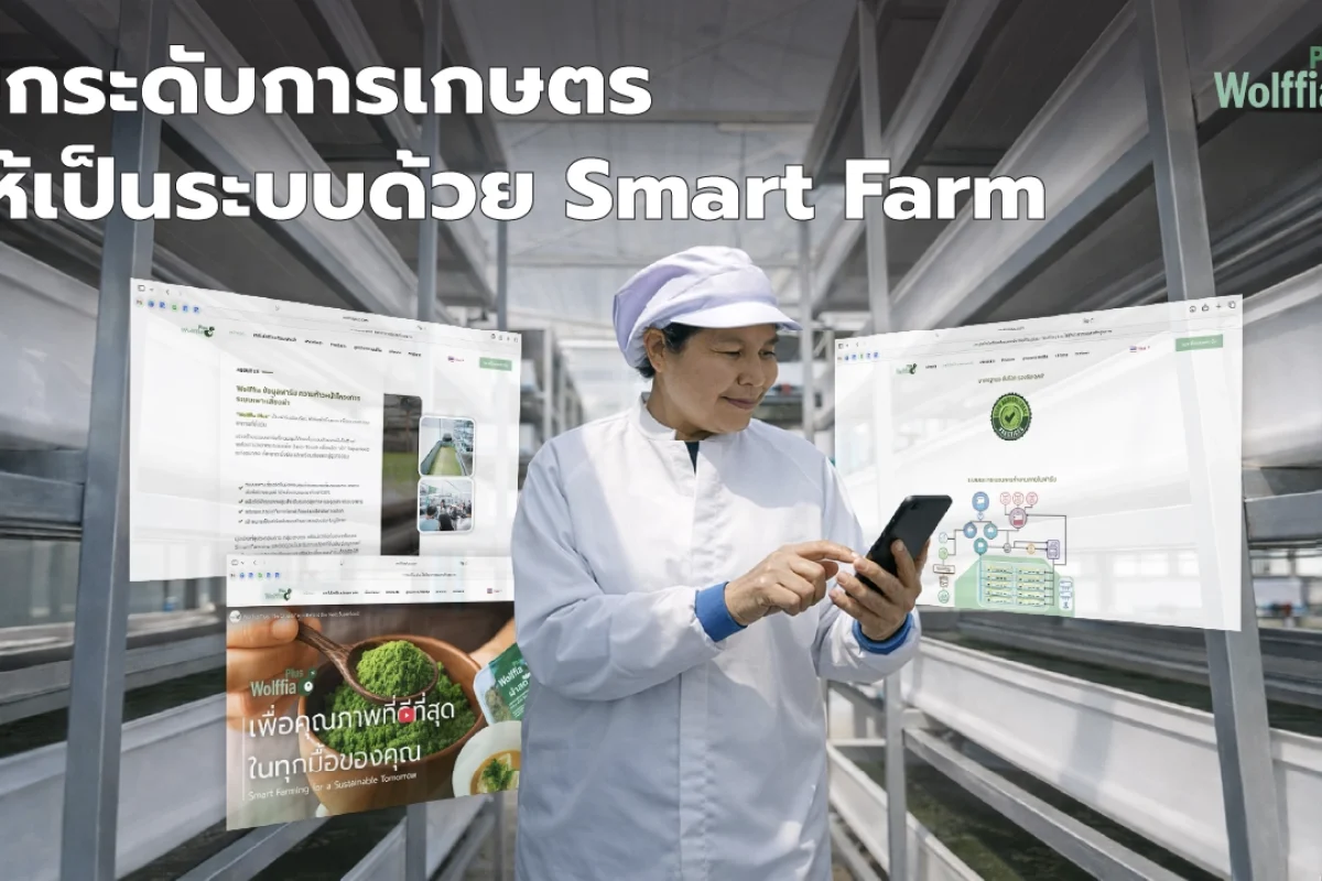 Smart Farm ที่ทำงานด้วยระบบควบคุมฟาร์มอัจฉริยะ