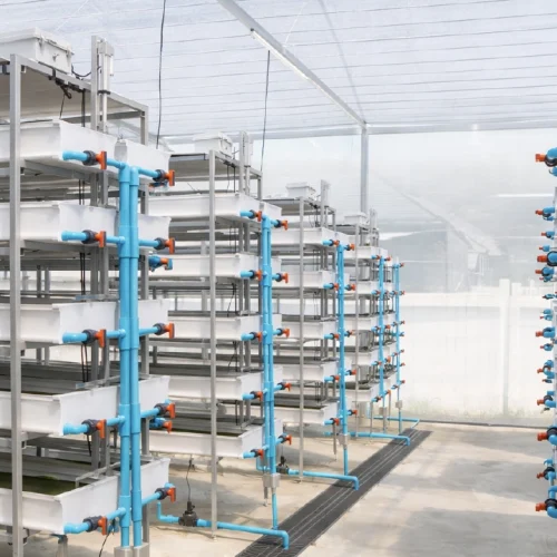 เซนเซอร์ฟาร์ม