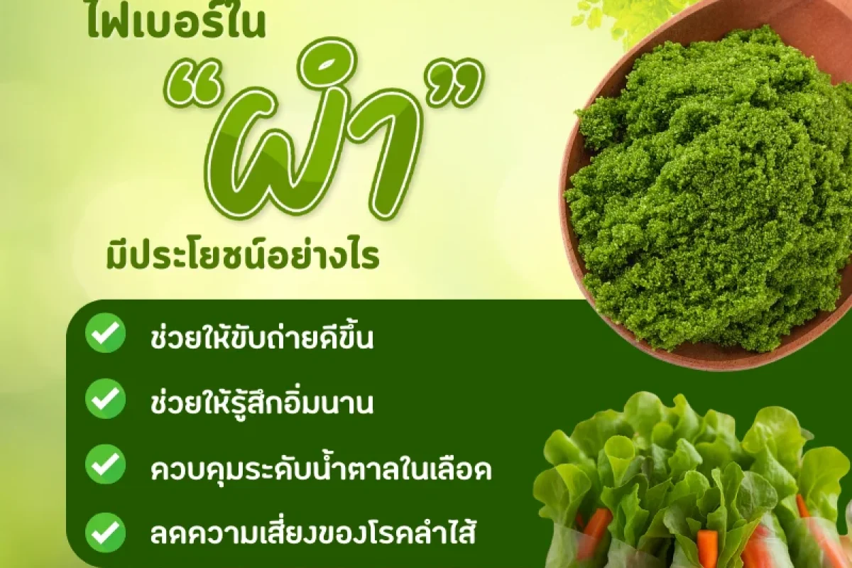 _ผำตัวจิ๋ว แต่ช่วยเรื่องขับถ่ายได้จริงไหม