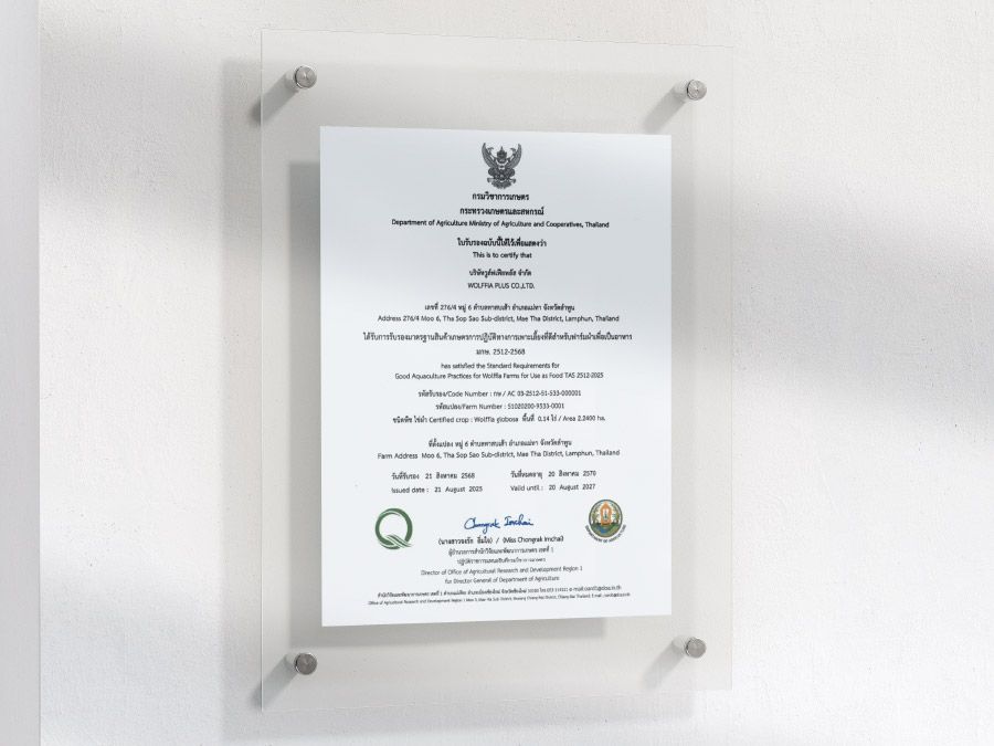 ใบรับรองมาตรฐานของ Wolffia Plus ติดผนัง