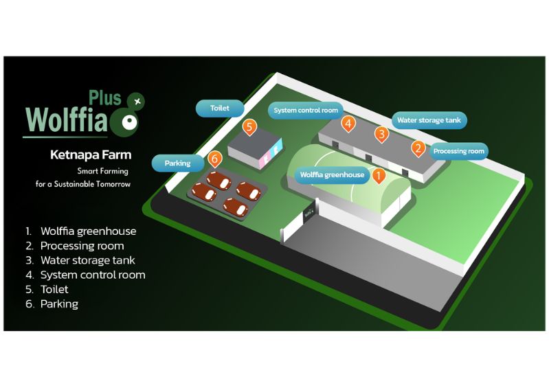 แผนผัง 3D ฟาร์มต้นแบบ Wolffia Plus