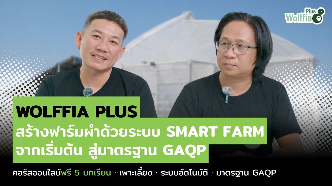 ตัวอย่างคอร์สเรียนเลี้ยงผำออนไลน์