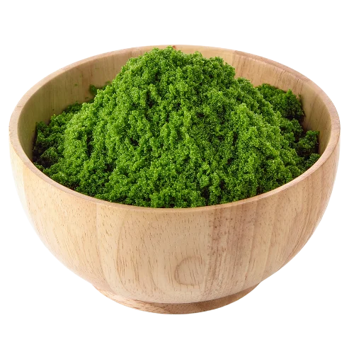 วูล์ฟเฟียแห้ง