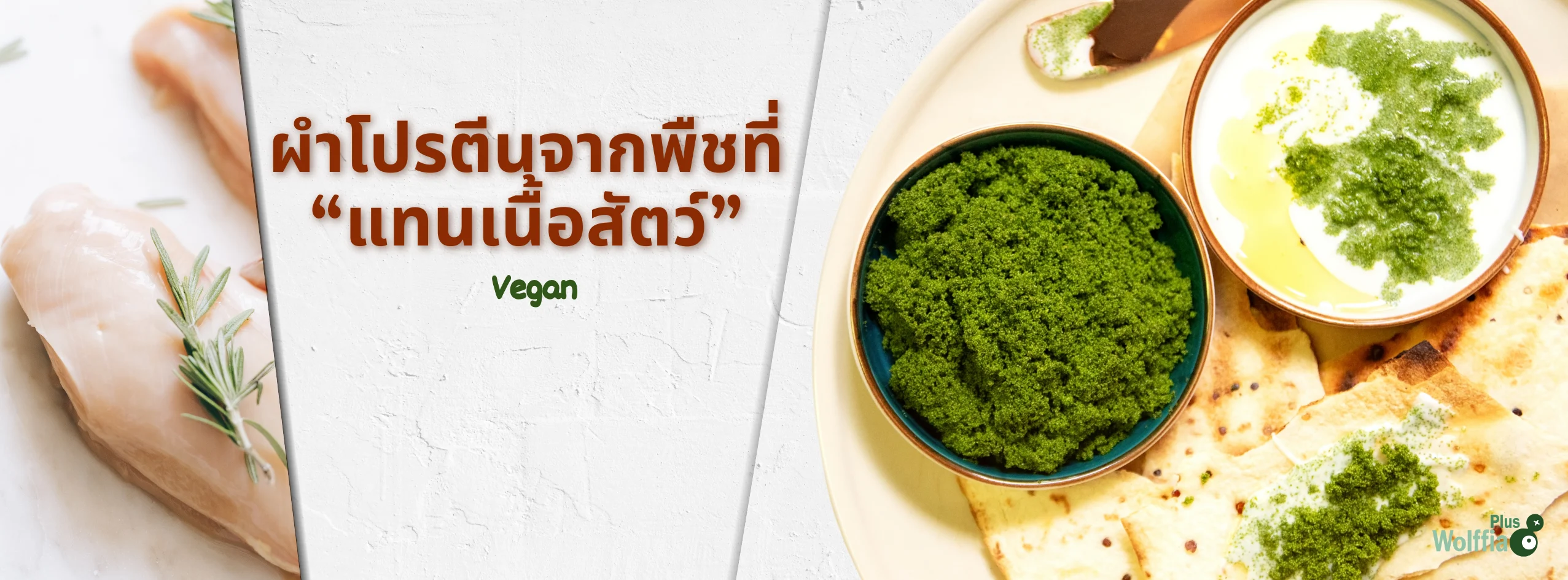 โปรตีนจากพืชที่ แทนเนื้อสัตว์