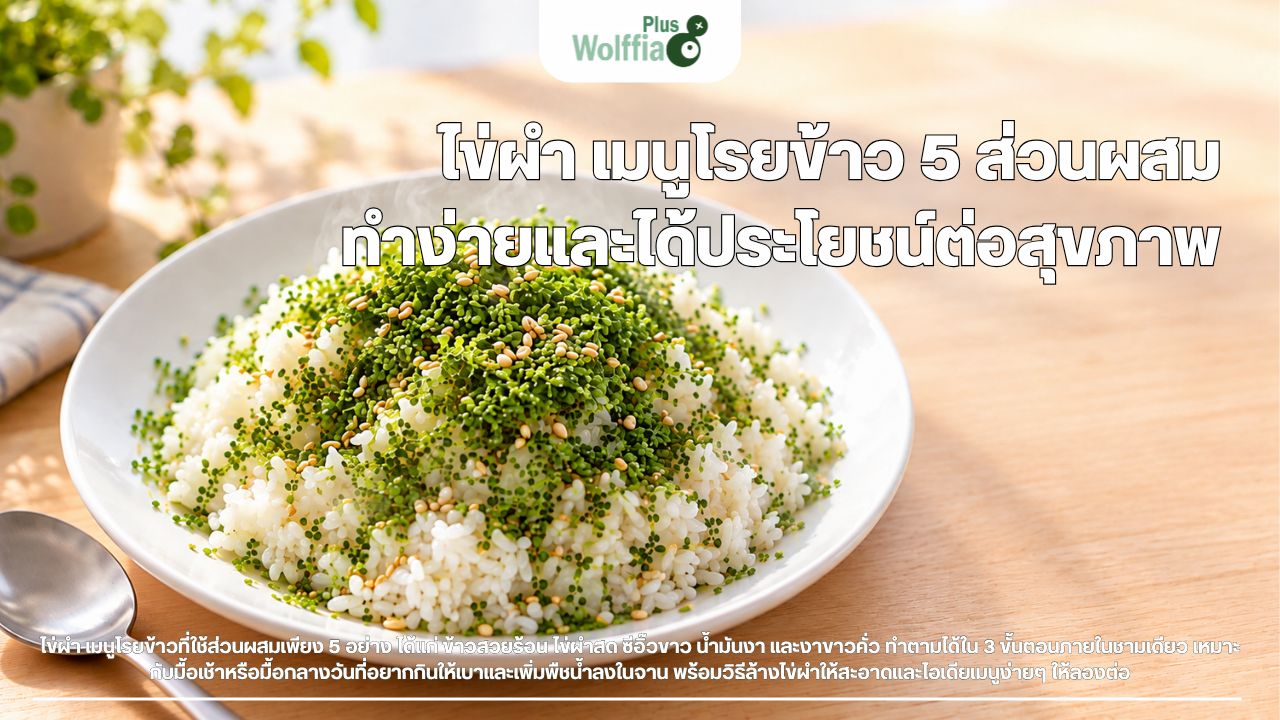 ไข่ผำ เมนูโรยข้าว 5 ส่วนผสม ทำง่ายและได้ประโยชน์ต่อสุขภาพ