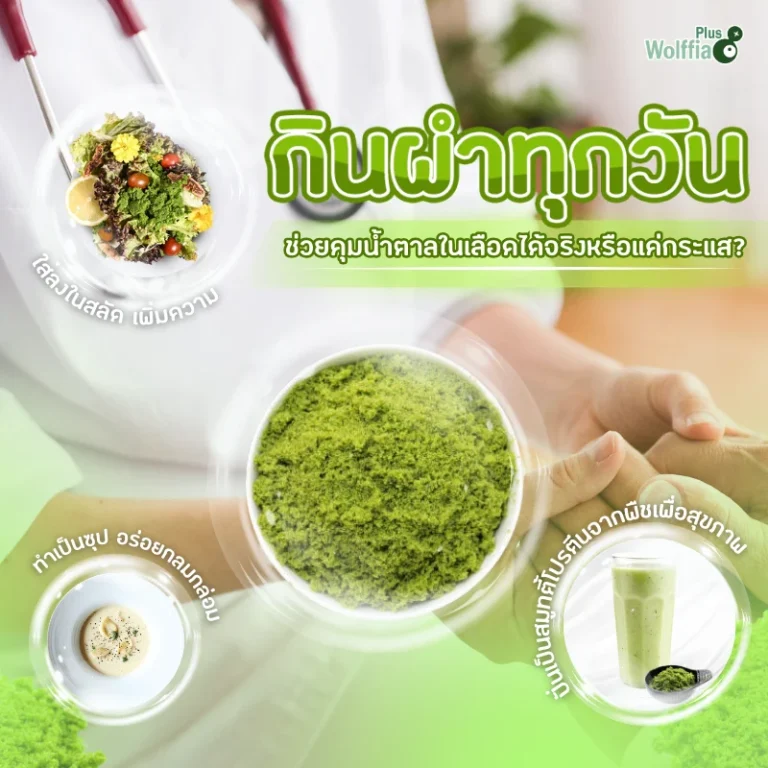 กินไข่ผำทุกวัน