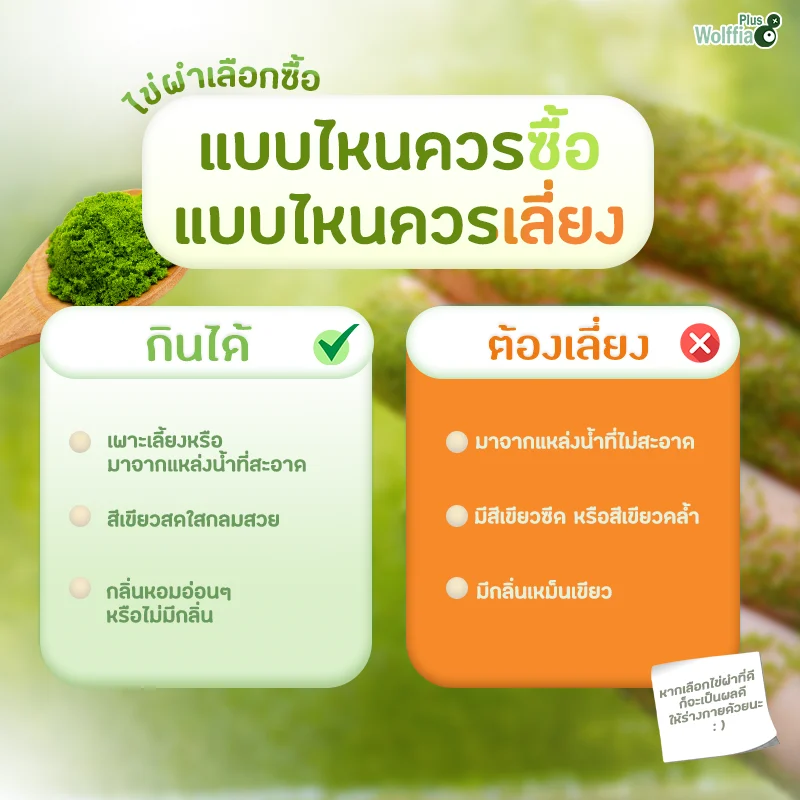 ผำแบบไหนควรซื้อควรเลี่ยง