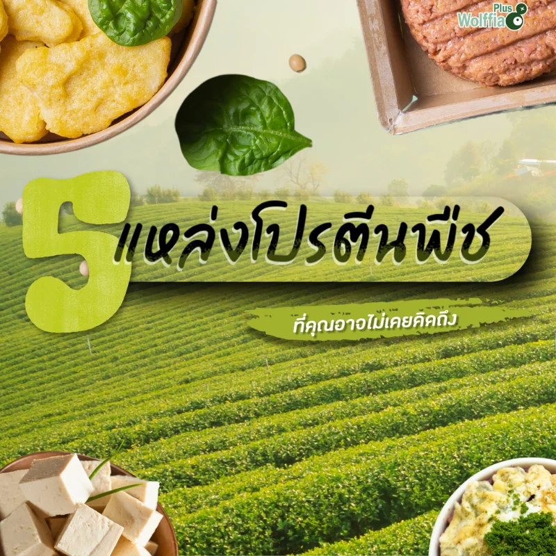 5 แหล่งโปรตีนพืช