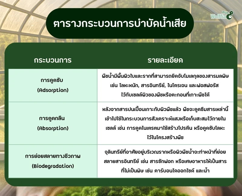 ตาราง