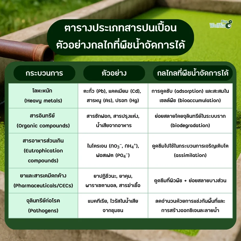 ตารางประเภทสารปนเปื้อน