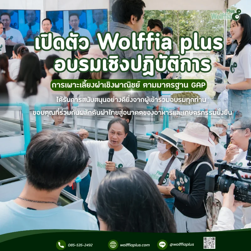 เปิดตัว Wolffia plus