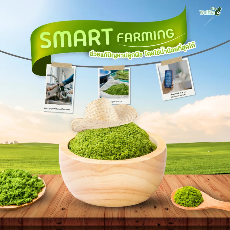 Smart Farming