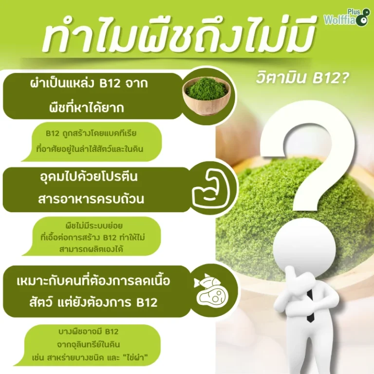 ทำไมพืชถึงไม่มีวิตามิน B12