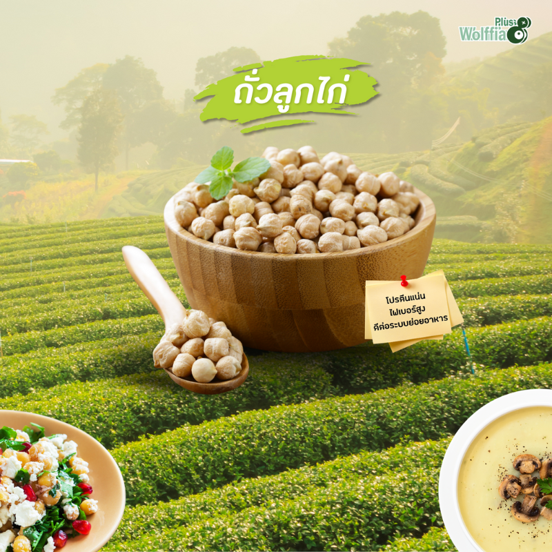 2. ถั่วลูกไก่ (Chickpeas)  อิ่มนาน ย่อยง่าย ได้ประโยชน์