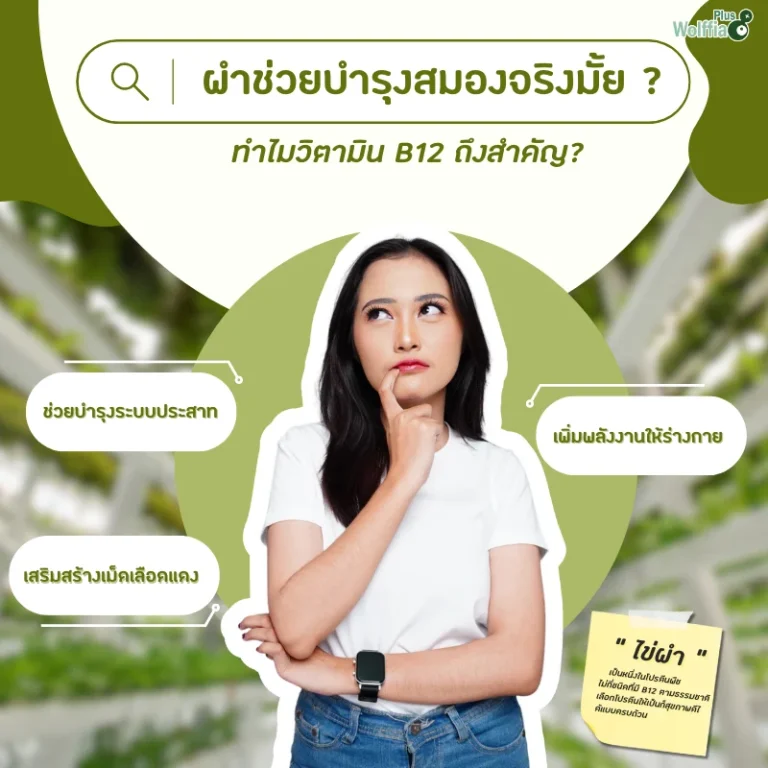 ผำช่วยบำรุงสมองจริงมั้ย