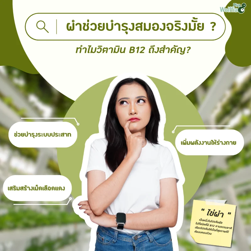 ผำช่วยบำรุงสมองจริงมั้ย