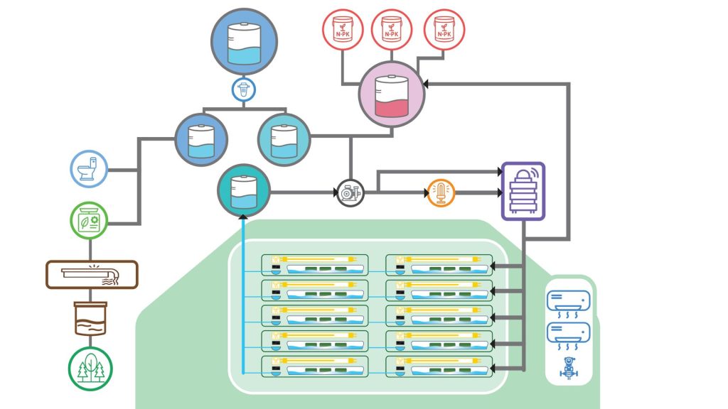 ระบบโรงเรือwolffia plus