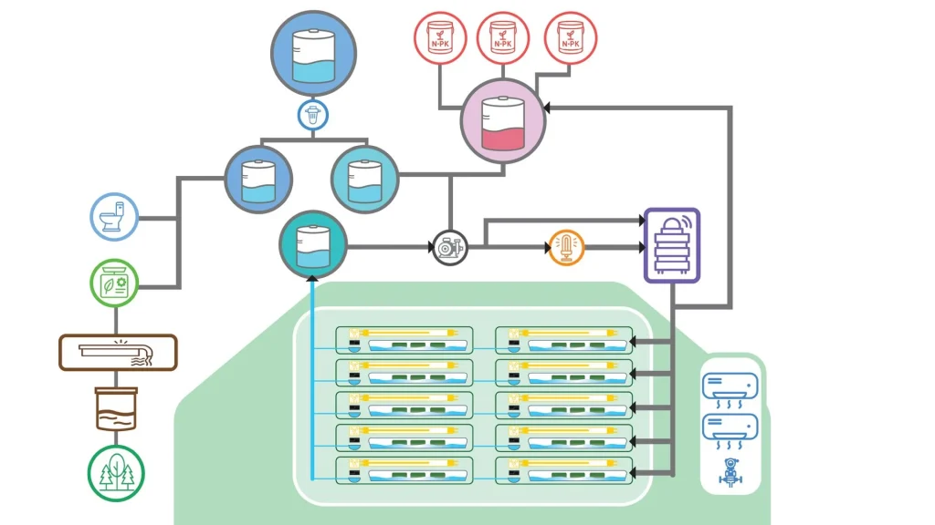 ระบบโรงเรือwolffia plus
