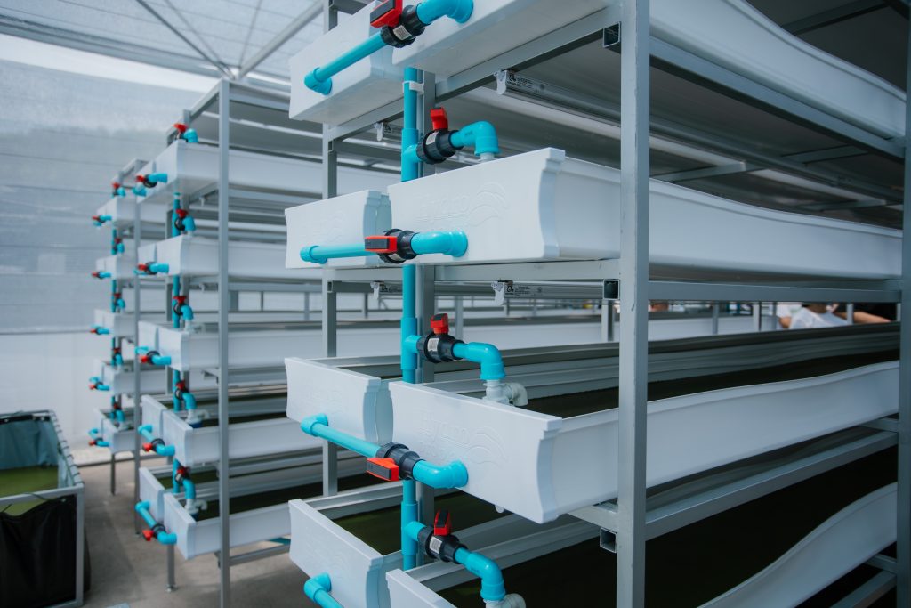 ชั้นเพาะเลี้ยงแนวตั้งแบบอัตโนมัติ