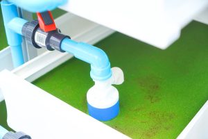 Fertigation System (ระบบจ่ายธาตุอาหารพืชอัตโนมัติ) 2 รูป