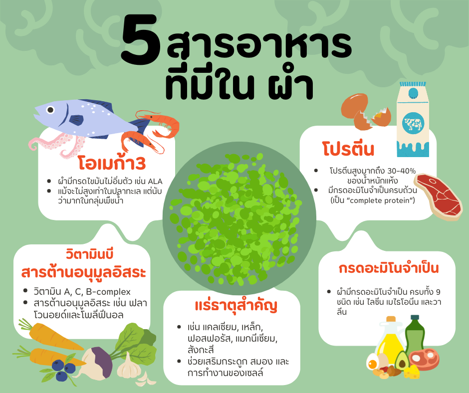 สารอาหารใน ผำ wolffiaplus