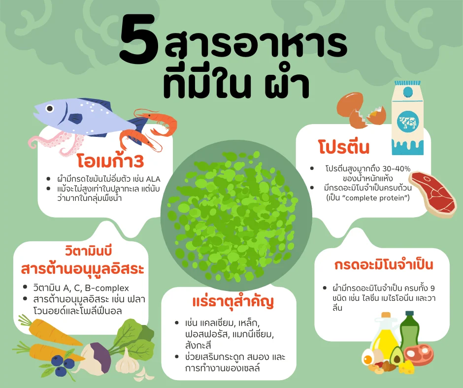 สารอาหารใน ผำ wolffiaplus