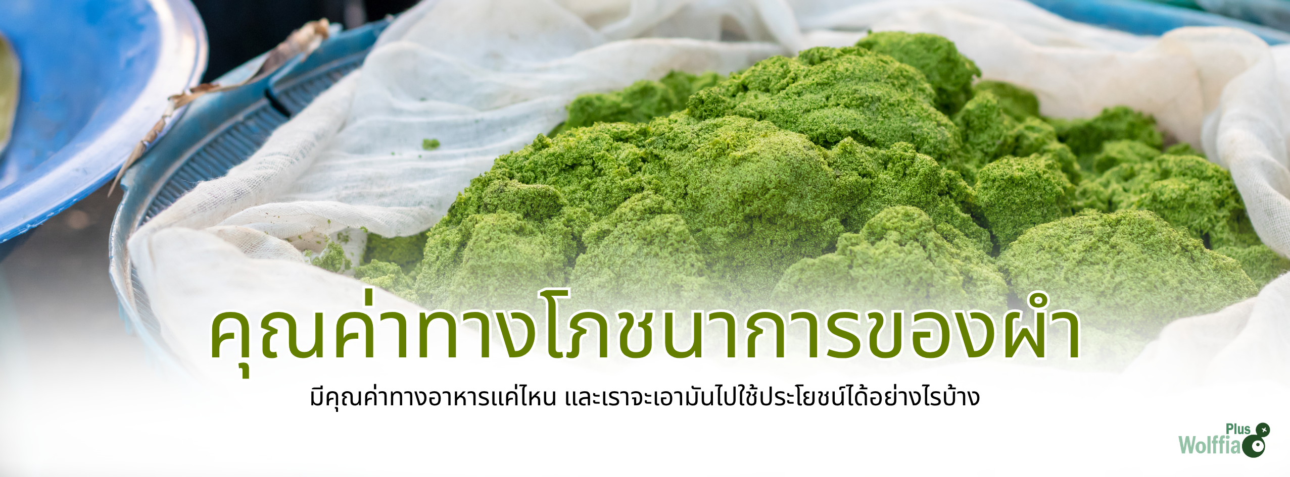 คุณค่าทางโภชนาการของผำ wolffiaplus