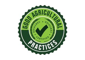 ใบรับรอง GAP