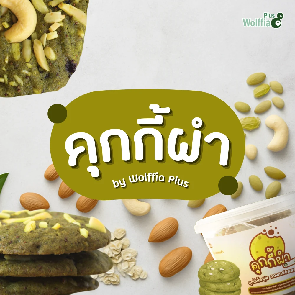 คุกกี้ผำ by Wolffia Plus