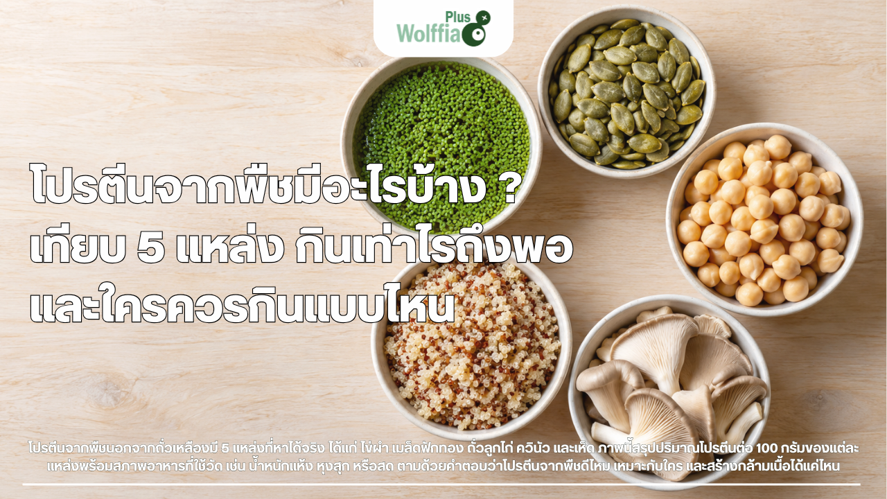โปรตีนจากพืชมีอะไรบ้าง ? เทียบ 5 แหล่ง กินเท่าไรถึงพอ และใครควรกินแบบไหน