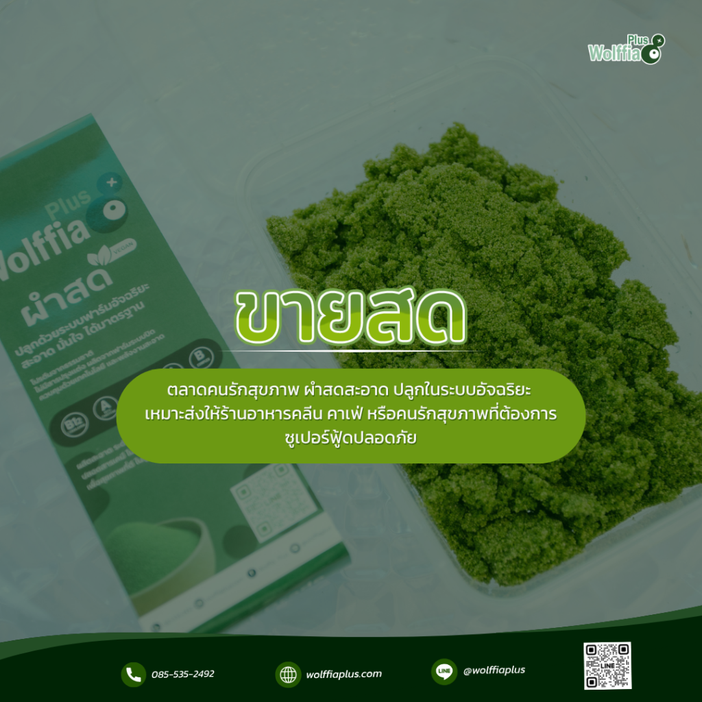 ผำขายสด