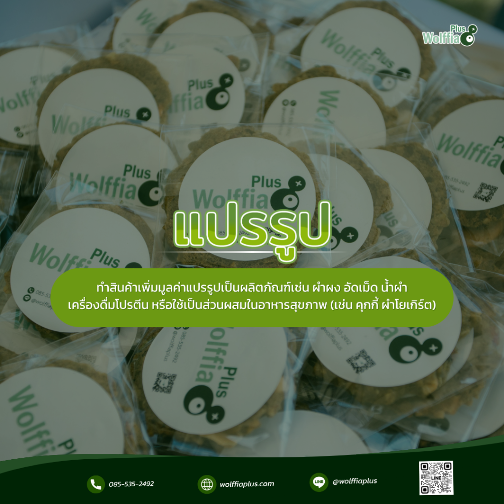 ผำแปรรูป