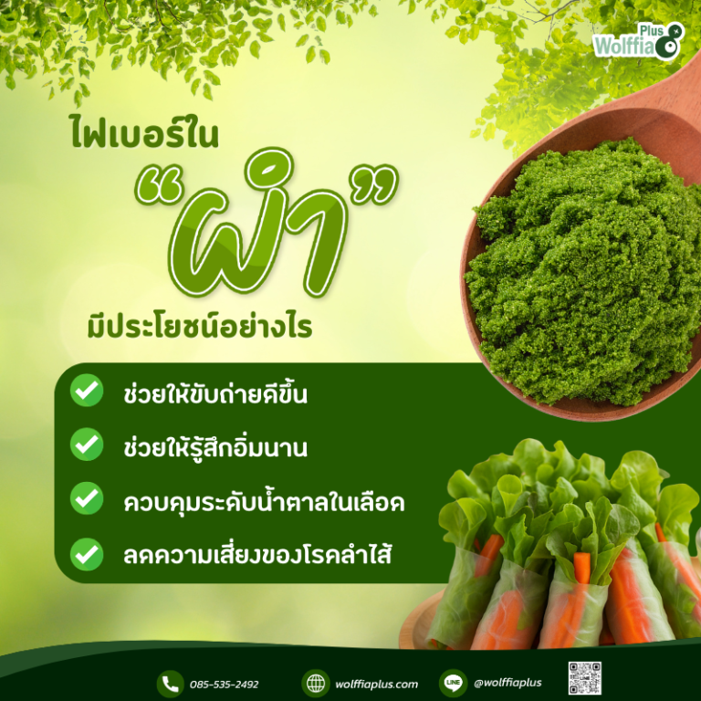 _ผำตัวจิ๋ว แต่ช่วยเรื่องขับถ่ายได้จริงไหม