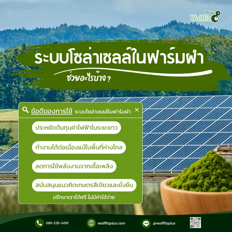 ระบบโซล่าเซลล์ในฟาร์มผำ