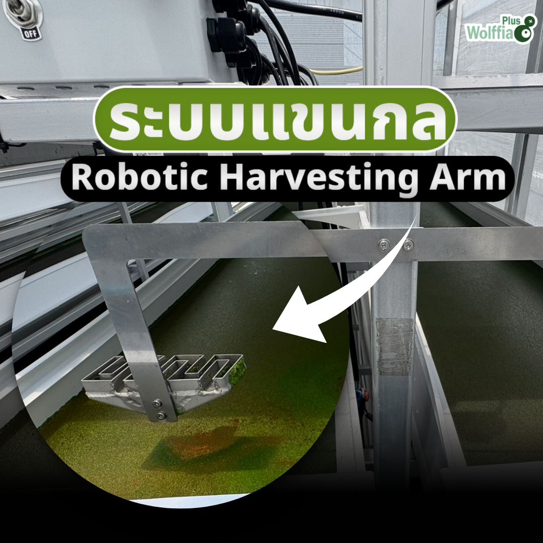 ระบบแขนกล