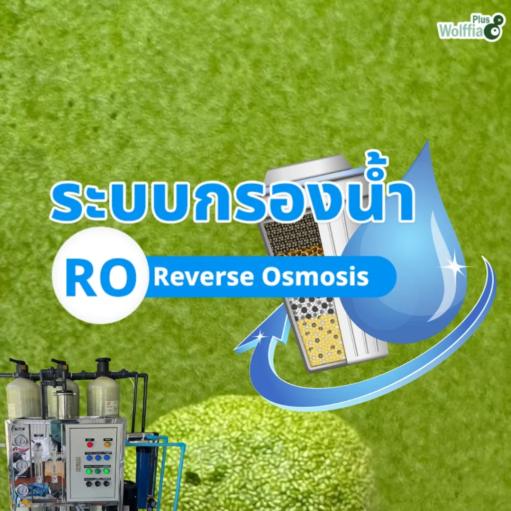 ระบบกรองน้ำ RO
