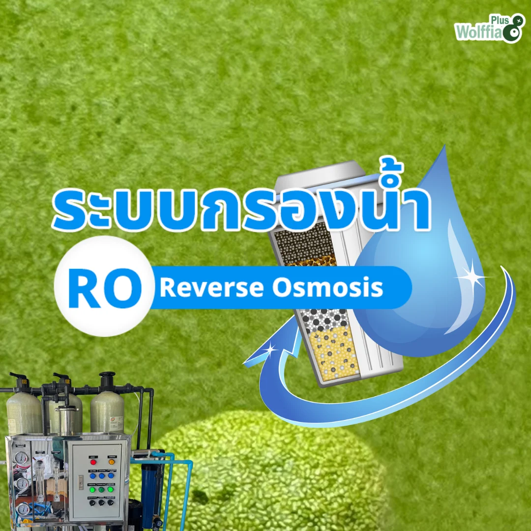 ระบบกรองน้ำ RO