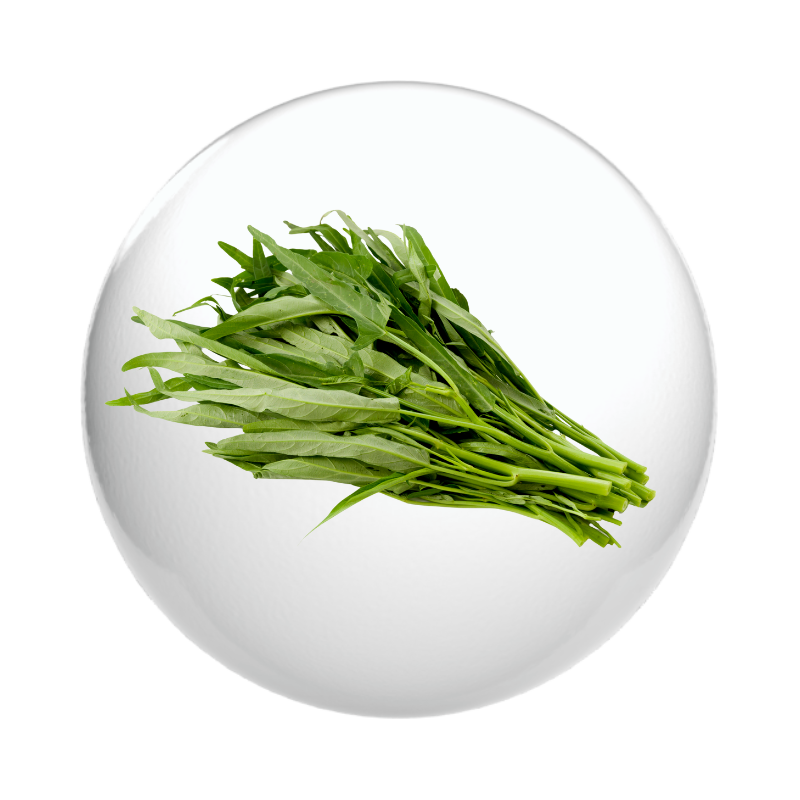 ผักปุ้ง