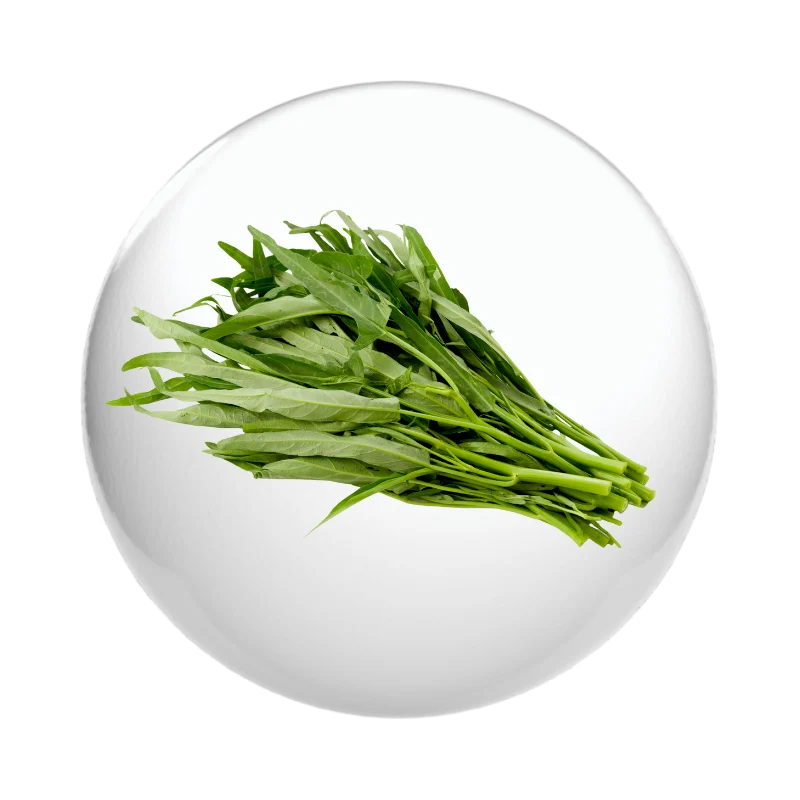 ผักปุ้ง