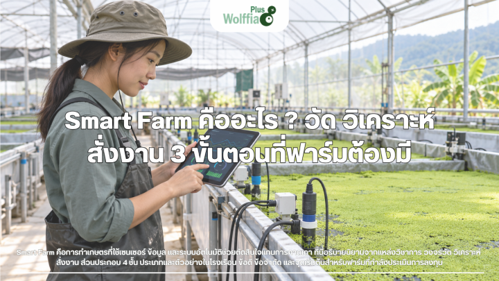 Smart Farm คืออะไร ? วัด วิเคราะห์ สั่งงาน 3 ขั้นตอนที่ฟาร์มต้องมี