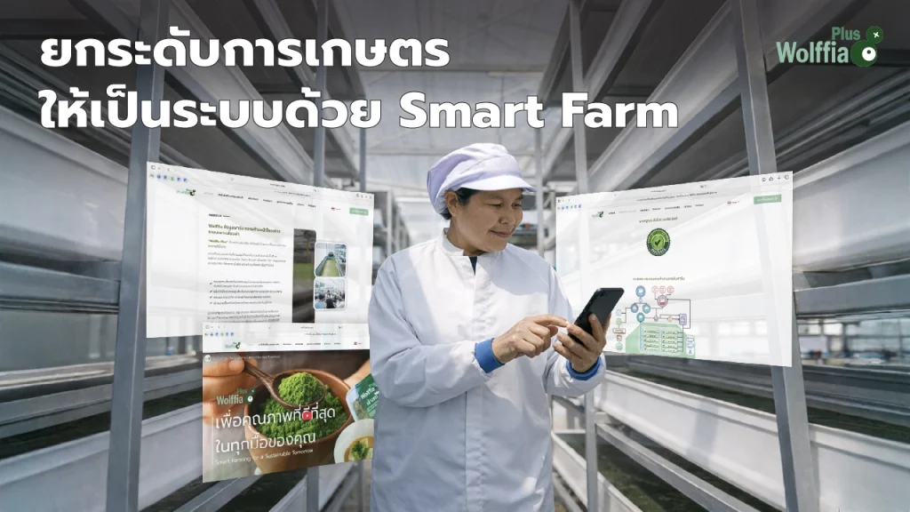 Smart Farm ที่ทำงานด้วยระบบควบคุมฟาร์มอัจฉริยะ