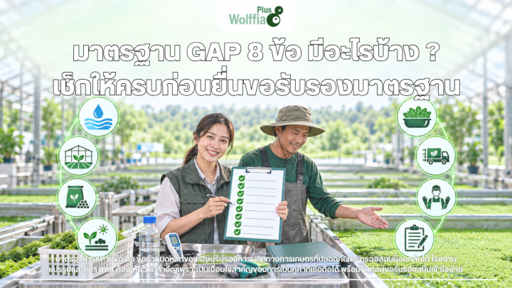 มาตรฐาน GAP 8 ข้อ มีอะไรบ้าง ? เช็กให้ครบก่อนยื่นขอรับรองมาตรฐาน