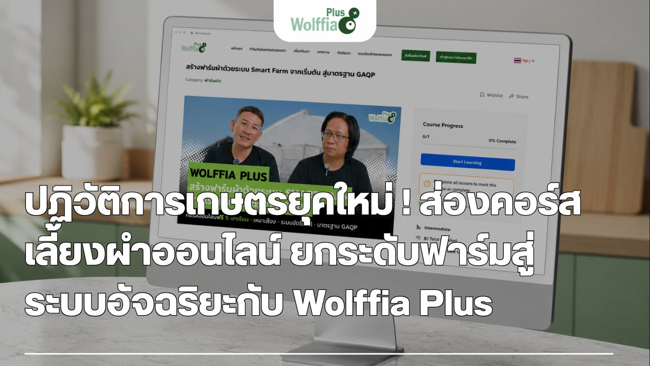 ปฏิวัติการเกษตรยุคใหม่ ! ส่องคอร์สเลี้ยงผำออนไลน์ ยกระดับฟาร์มสู่ระบบอัจฉริยะกับ Wolffia Plus