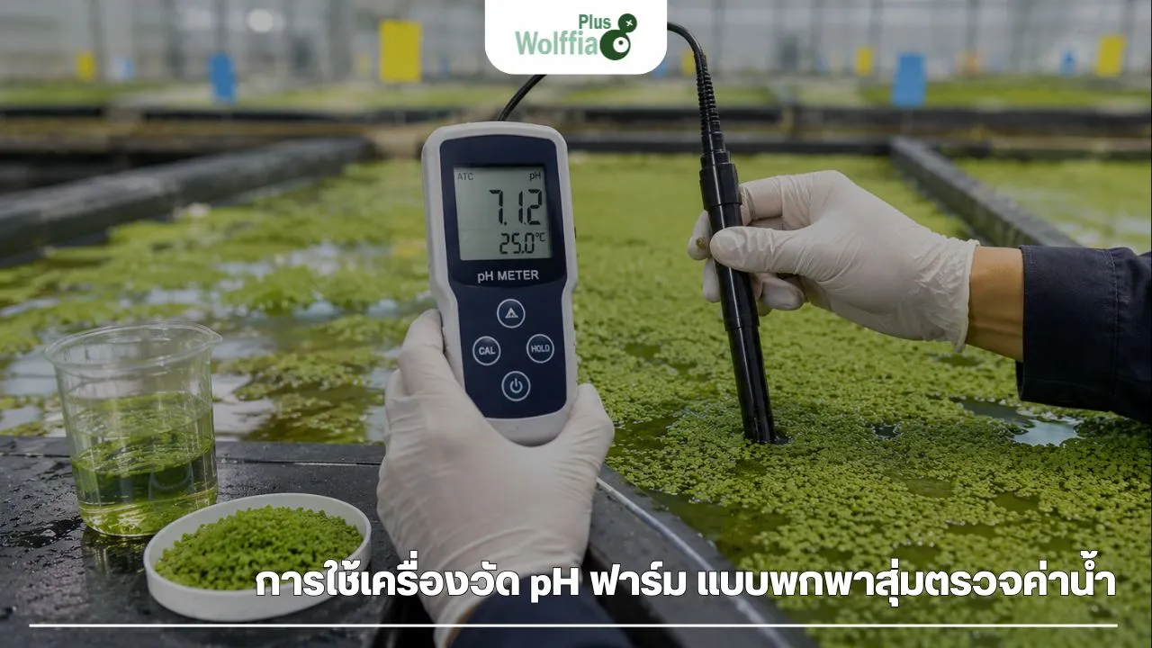 การใช้เครื่องวัด pH ฟาร์ม แบบพกพาสุ่มตรวจค่าน้ำ