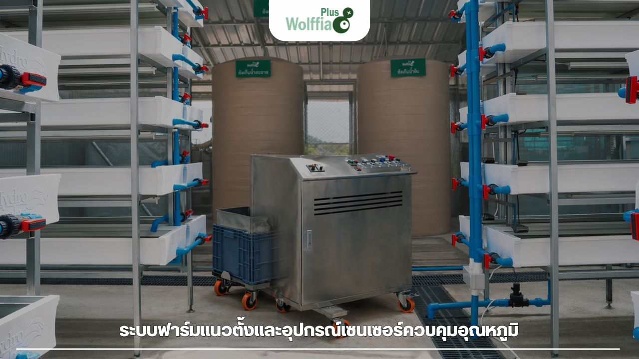 การจัดการระบบฟาร์มแนวตั้งและอุปกรณ์เซนเซอร์ควบคุมอุณหภูมิในคอร์สเกษตรออนไลน์