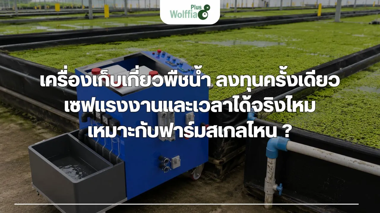 เครื่องเก็บเกี่ยวพืชน้ำ ลงทุนครั้งเดียวเซฟแรงงาน เวลาได้จริงไหม และเหมาะกับฟาร์มสเกลไหน ?